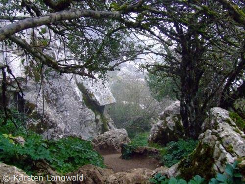 El Torcal bei Nebel Im Winter